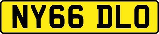 NY66DLO