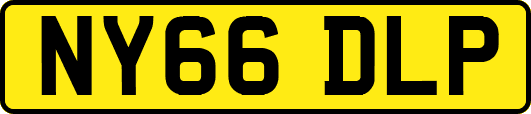 NY66DLP
