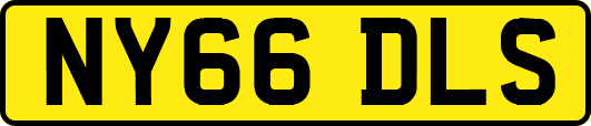 NY66DLS