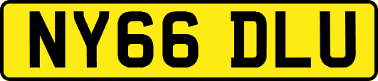 NY66DLU