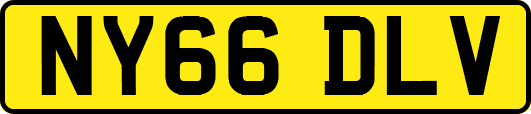NY66DLV