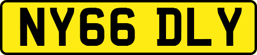 NY66DLY