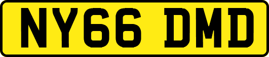 NY66DMD