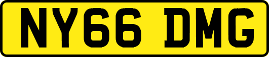 NY66DMG