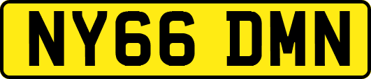 NY66DMN