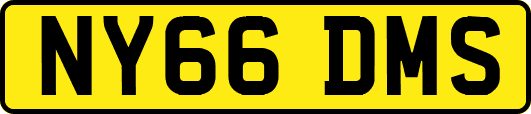 NY66DMS