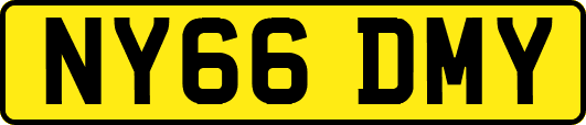 NY66DMY