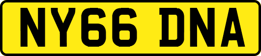 NY66DNA