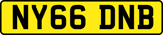NY66DNB