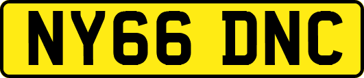 NY66DNC