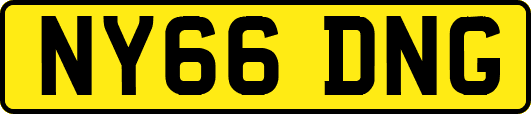 NY66DNG