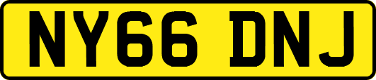 NY66DNJ