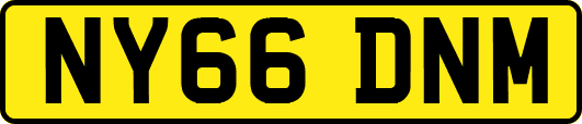 NY66DNM