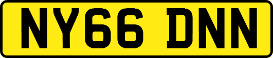 NY66DNN