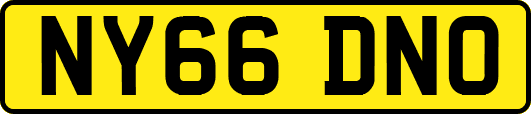 NY66DNO