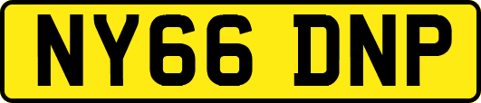 NY66DNP