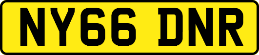 NY66DNR
