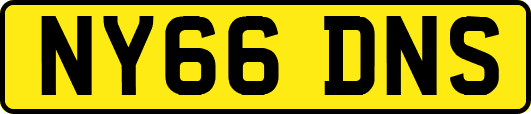 NY66DNS