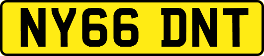 NY66DNT