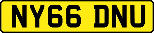 NY66DNU