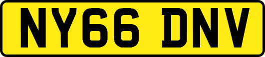 NY66DNV