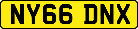 NY66DNX