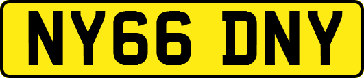 NY66DNY