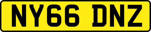 NY66DNZ