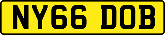 NY66DOB