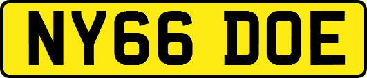 NY66DOE