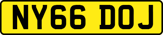 NY66DOJ