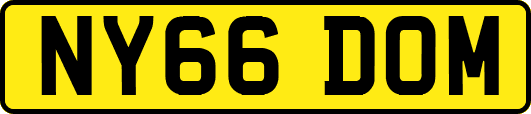 NY66DOM