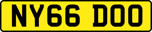 NY66DOO