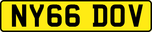 NY66DOV