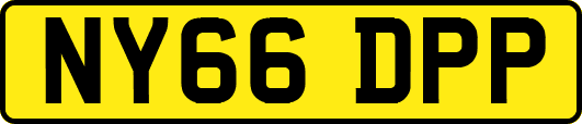 NY66DPP