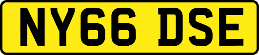 NY66DSE