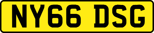NY66DSG