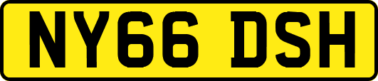 NY66DSH