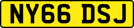 NY66DSJ