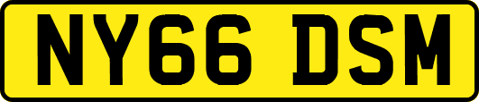 NY66DSM