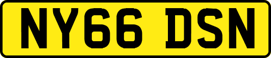NY66DSN