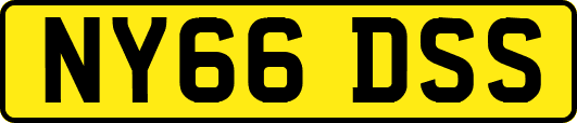 NY66DSS