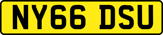 NY66DSU