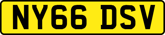 NY66DSV