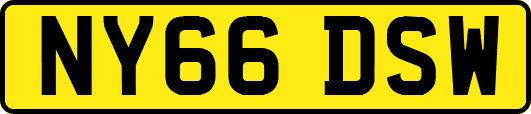 NY66DSW