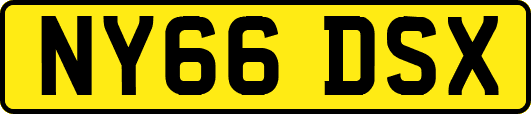 NY66DSX