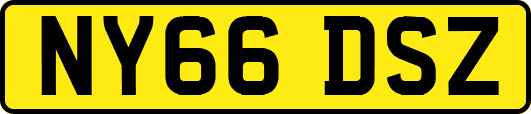 NY66DSZ