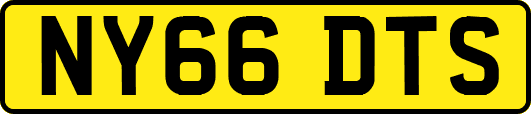 NY66DTS