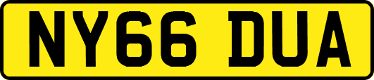 NY66DUA