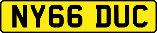 NY66DUC